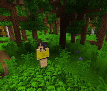 [Let's Do] Blooming Nature's forests
