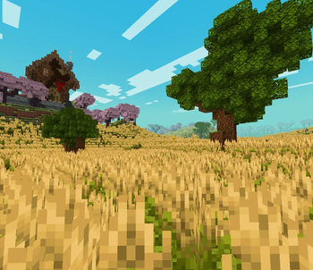 fields of wheat