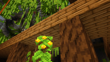 mineshaf