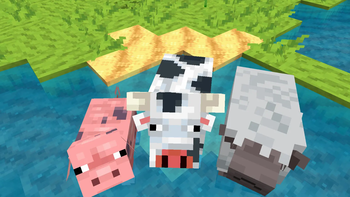 animales