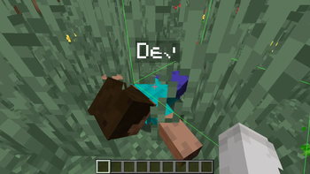 Revive through grass with custom block outline #2
