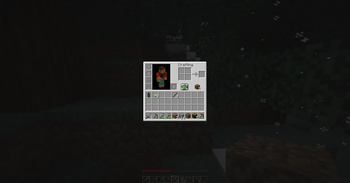 "Full" inventory