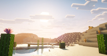 Desert