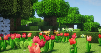 Bees