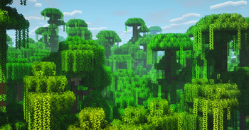 Jungle edge