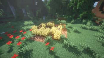 Farm