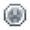 Silver Coin