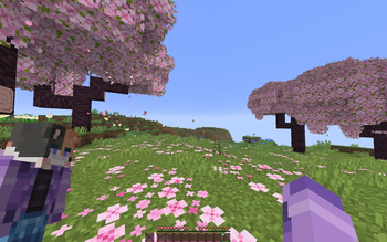 Totem in first person