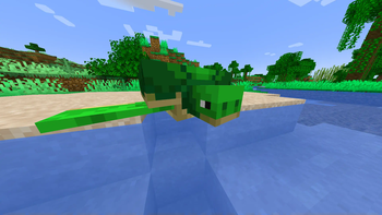 epic turtle