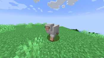 epic sheep