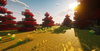 Maple Forest (TerraBiomes)