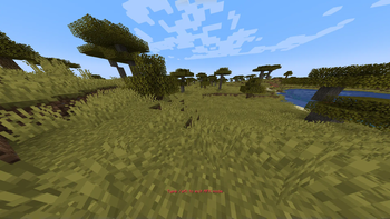 Type /afk to exit AFK mode