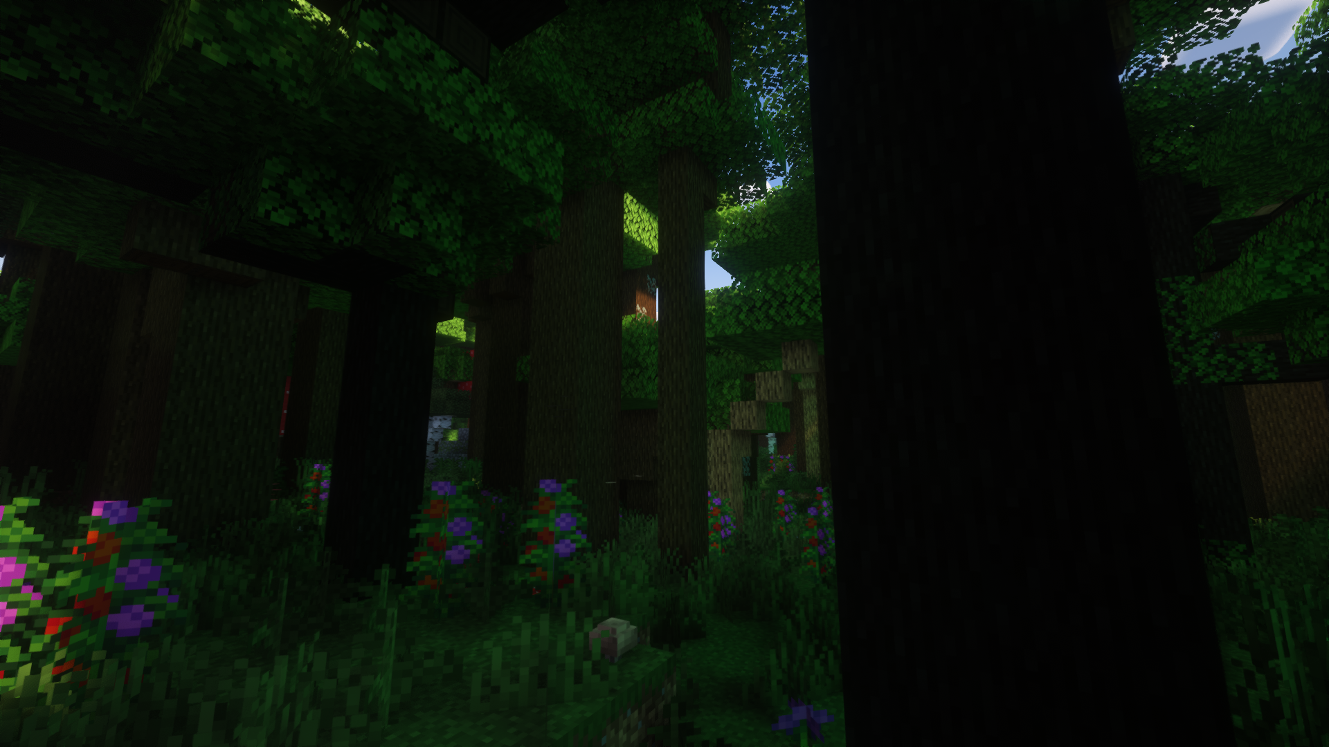 A Dense dark forest, flora everywhere