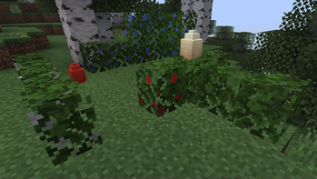 Hedges and Egg Lanterns