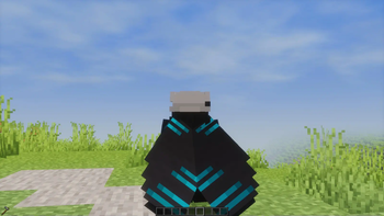 Elytra Trims