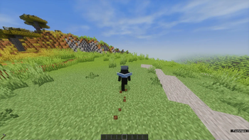 Elytra Physics