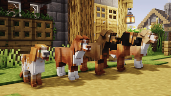 Dog breed models showcase (few selected)
