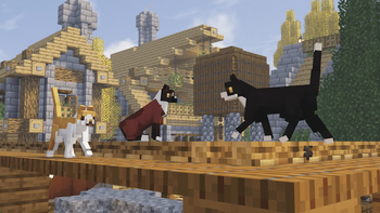 Cats model showcase