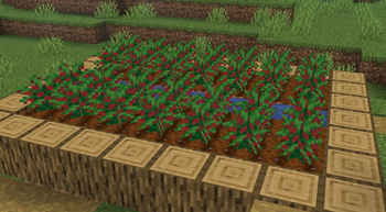 Crops