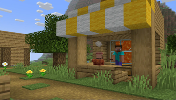 Steve's Lava Chicken
