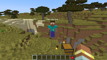 Herobrine.