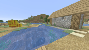 Village