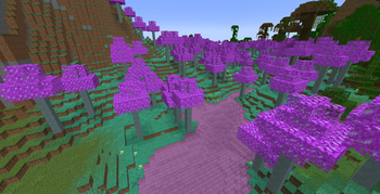 Celestial Valley