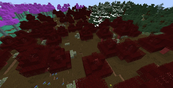 Scarlet Forest