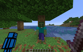 Crosshair, Totem and Hotbar