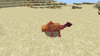 Chameleon