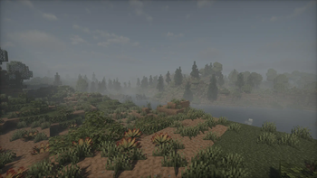 Foggy weather