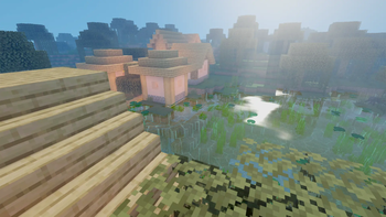 Water in swamp
