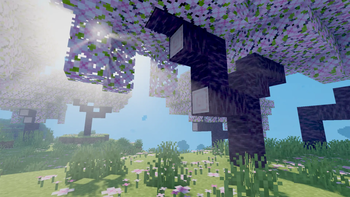 God rays in a Cherry Grove biome