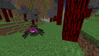 friendly Spider