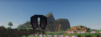 elytra