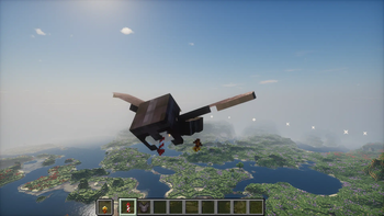 elytra