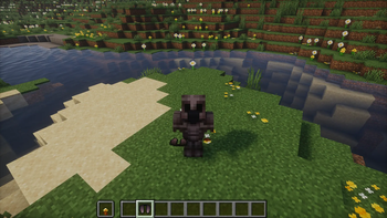 elytra