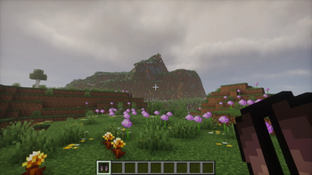 elytra