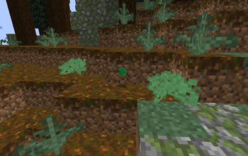 Wild Mint Bush and Item