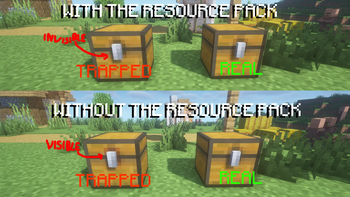 With the resource pack VS Without