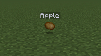 Potato