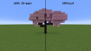 Cherry Tree Comparison