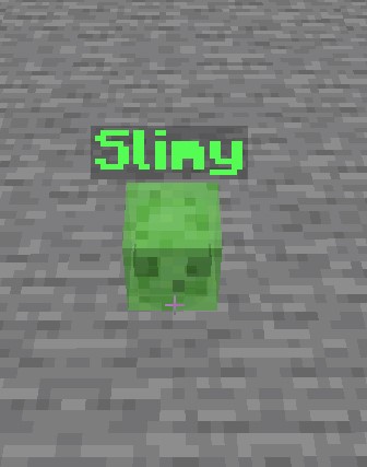 Entity names