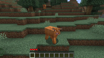 cow possess
