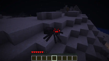 spider possess