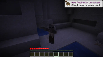 husk possess