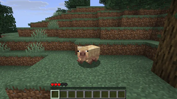 pig possess