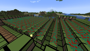 Texture of sweet barrys