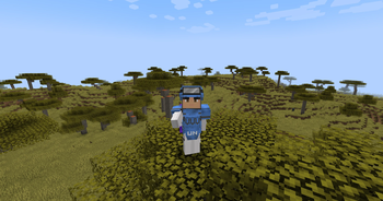 Added United Nations press armor