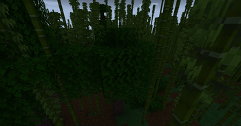 Random Biome